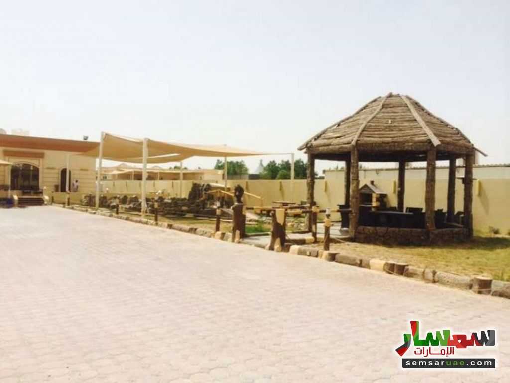 By Photos For Daily Rent Furnished Chalet or Rest House in Al Hamidiya
