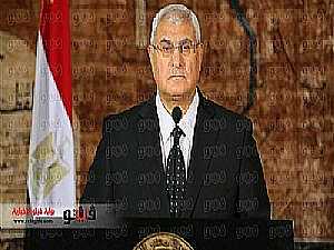 الرئاسة تستبعد السادات الديمقراطي من لقاء الغد