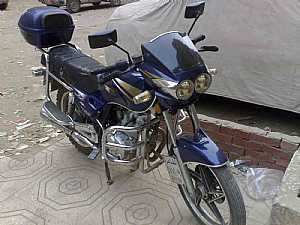 �������� ���� ����� ����� 2008
