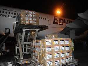 مصر ترسل طائرتي مساعدات لتونس