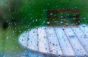 ����� ������ ��� ����� ����� news_49636EA8-1AA7-4