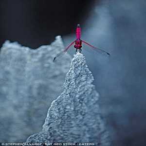 ���� �����: ������ ������� �� ������