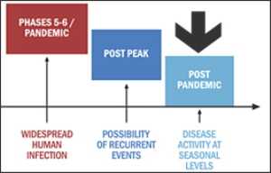 H1N1 in post-pandemic period