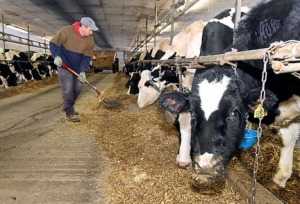 FDA Takes Action Against New York Dairy Farmer