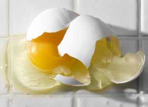 URGENT Nationwide Egg Recall