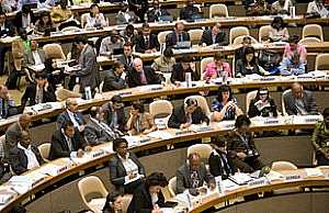 Latest news from the World Health Assembly