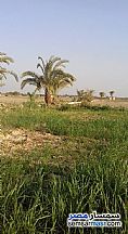 أمتلك مزرعتك وحقق حلمك مع مزارع الريف المصري