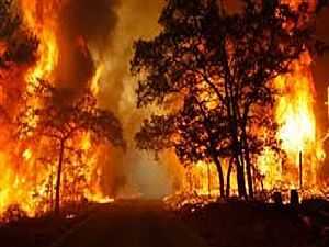 أوامر إجلاء جديدة بسبب حرائق الغابات في ولاية واشنطن الأمريكية