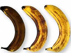 الموز الناضج أم الموز غير الناضج .. أيهما الأفضل؟