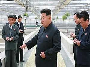بعد نفوق عدد منها.. زعيم كوريا الشمالية يعدم مدير مزرعة السلاحف