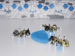 روبوتات مذهلة تحاكي النمل والفراشات والحرباء