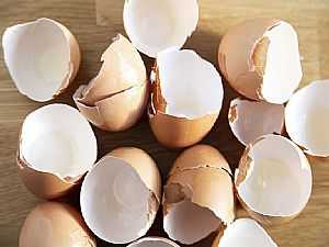 قشور البيض "تخفي" فائدة صحية للجسم!