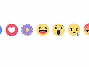 ما السر وراء رمز ''الزهرة البنفسجية'' الجديد على فيسبوك؟