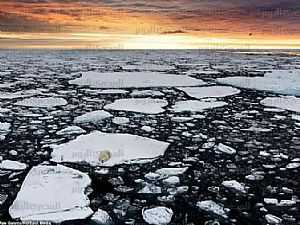 ناسا تؤكد تداعي أرصفة جليدية في القارة القطبية الجنوبية