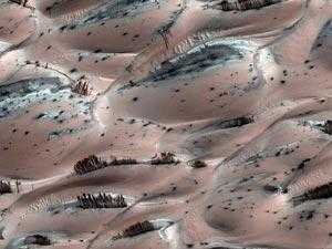 ناسا تكشف حقيقة الأشجار على سطح المريخ