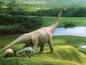 نوع سام من الديناصورات عاش قبل 125 مليون سنة