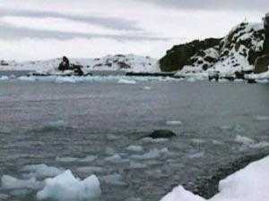 علماء: مناخ القارة القطبية الجنوبية كان معتدلاً