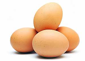 بيع البيض بجملة بثمن سوق +سنتيم1 لتوصيل