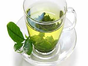 دراسة: الشاي الأخضر قد يساعد في تقليل خطر الإصابة بالسرطان
