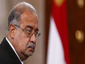 «الوزراء» يوافق على انضمام مصر إلى الاتفاق الدولي لـ «زيت الزيتون»