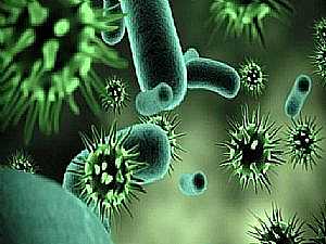 ما هي أعراض فيروس ماربورغ وكيف ينتقل؟
