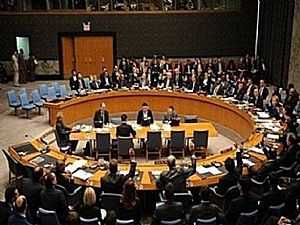 مصر توضح أسباب تأييدها لمشروعي قرارين مجلس الأمن حول سوريا