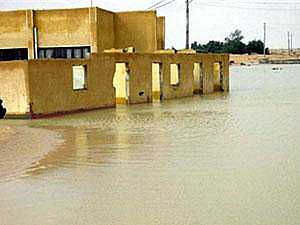الزغبى: السيول والفيضانات آيات من الله لتخويف العباد