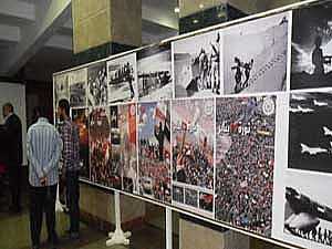 صور شهداء الثورة تتصدر احتفالات السويس بعيدها القومى