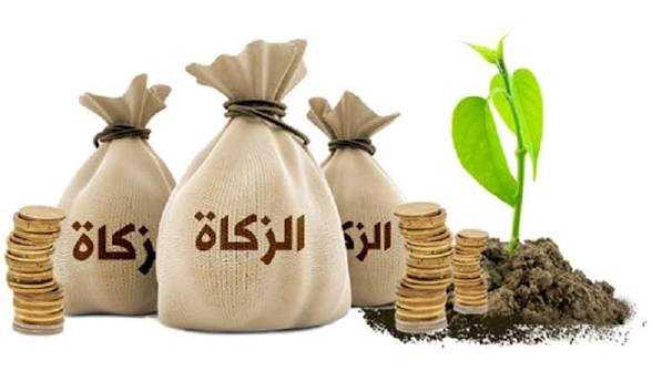 أزهر يحسم الجدل: كيف تُحسب زكاة الوديعة البنكية وأرباحها؟