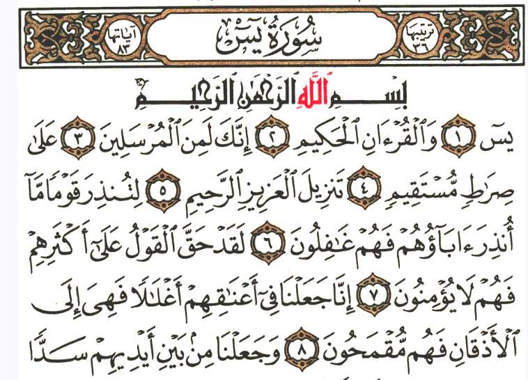 ثواب لمن داوم عليها .. ماذا يحدث عند قراءة سورة يس يوميا؟
