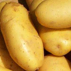 تصدير البطاطس للكويت و الامارات